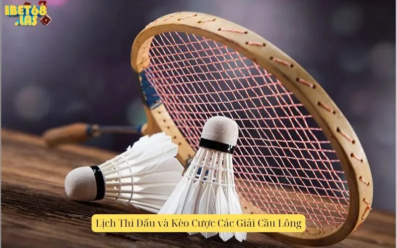 Lịch Thi Đấu và Kèo Cược Các Giải Cầu Lông